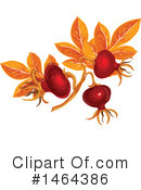 Rose Hip Clipart #1464386 by Vector Tradition SM