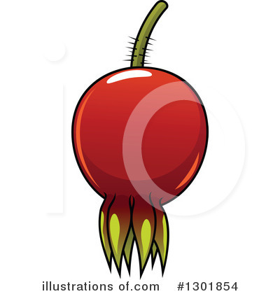 Rose Hips Clipart #1301854 by Vector Tradition SM