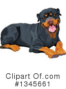 Rottweiler Clipart #1345661 by Pushkin