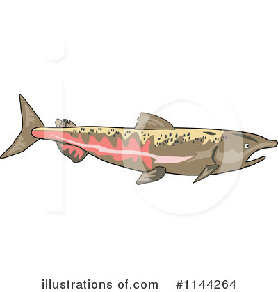 Royalty-Free (RF) Salmon Clipart Illustration by patrimonio - Stock Sample #1144264