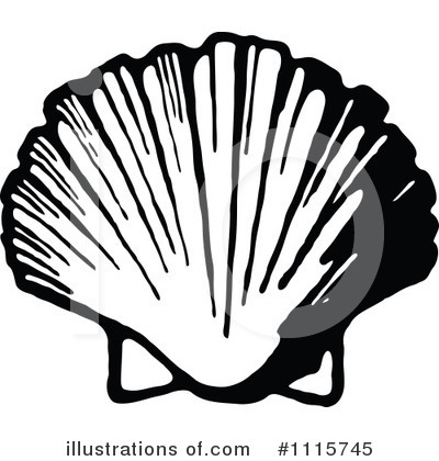 Seashell Clipart #1115745 by Prawny Vintage