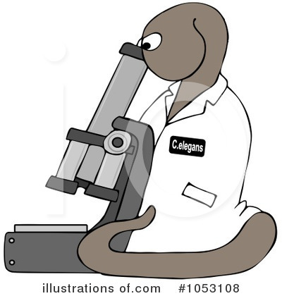 Microscope Clipart #1053108 by djart