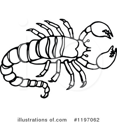 Royalty-Free (RF) Scorpion Clipart Illustration by Prawny - Stock Sample #1197062