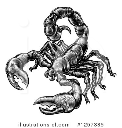 Royalty-Free (RF) Scorpion Clipart Illustration by AtStockIllustration - Stock Sample #1257385