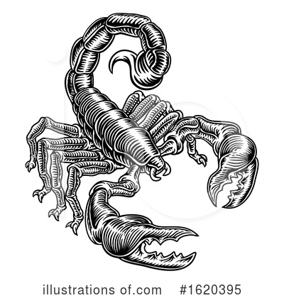 Scorpio Clipart #1620395 by AtStockIllustration