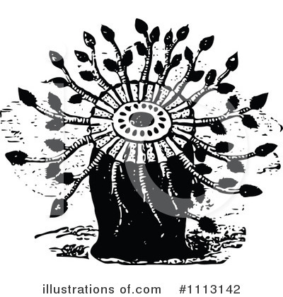 Royalty-Free (RF) Sea Anemone Clipart Illustration by Prawny Vintage - Stock Sample #1113142