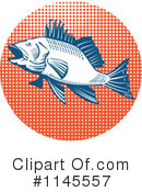 Sea Bass Clipart #1145557 by patrimonio