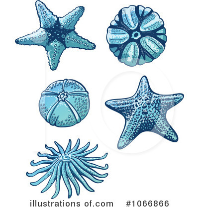Sea Urchin Clipart #1066866 by Zooco