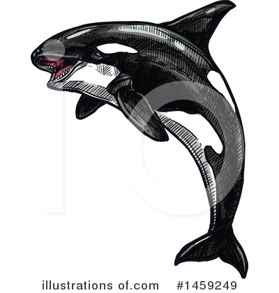 Orca Clipart #1459249 by Vector Tradition SM