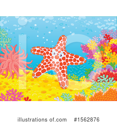 Starfish Clipart #1562876 by Alex Bannykh