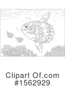 Sea Life Clipart #1562929 by Alex Bannykh
