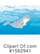 Sea Life Clipart #1562941 by Alex Bannykh