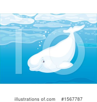 Beluga Whale Clipart #1567787 by Alex Bannykh
