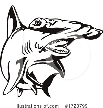 Hammerhead Shark Clipart #1720799 by patrimonio