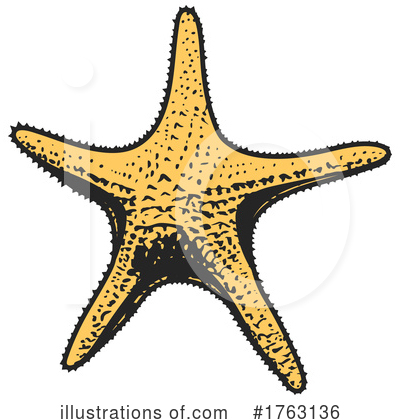 Starfish Clipart #1763136 by Vector Tradition SM