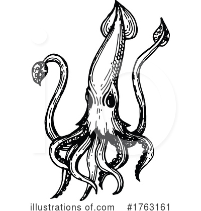 Squid Clipart #1763161 by Vector Tradition SM