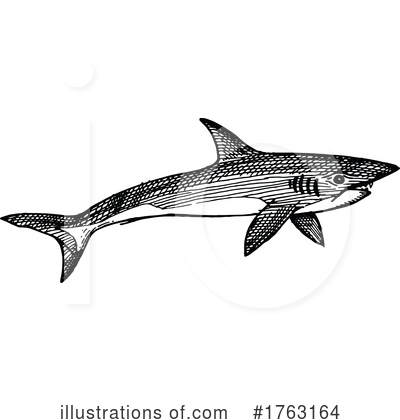 Royalty-Free (RF) Sea Life Clipart Illustration by Vector Tradition SM - Stock Sample #1763164