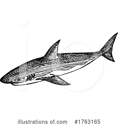 Royalty-Free (RF) Sea Life Clipart Illustration by Vector Tradition SM - Stock Sample #1763165