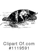 Sea Turtle Clipart #1119591 by Prawny Vintage
