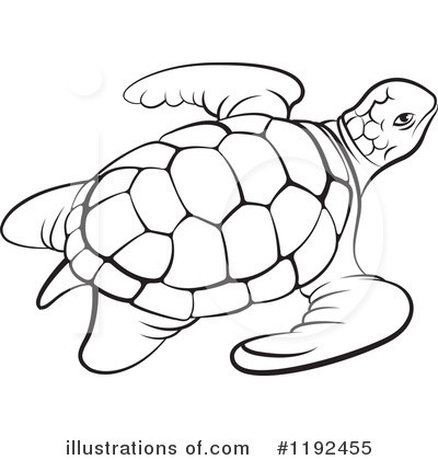 Turtle Clipart #1192455 by Lal Perera