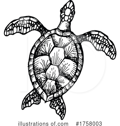 Royalty-Free (RF) Sea Turtle Clipart Illustration by Vector Tradition SM - Stock Sample #1758003