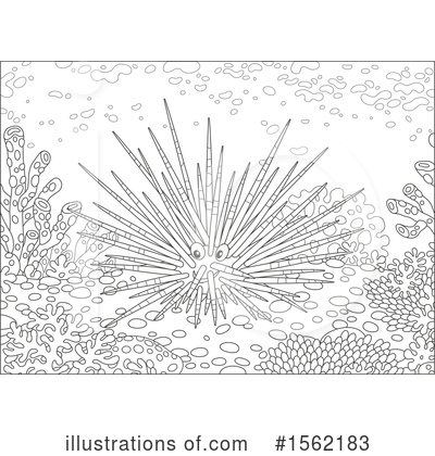 Sea Urchin Clipart #1562183 by Alex Bannykh