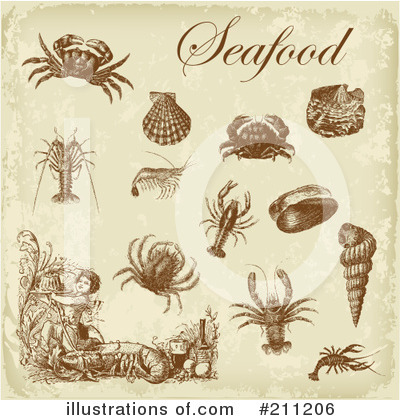 Sea Shell Clipart #211206 by Eugene