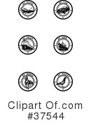 Seal Clipart #37544 by Eugene