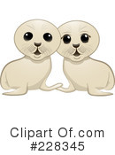 Seal Pup Clipart #228345 by elaineitalia