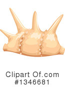 Seashell Clipart #1346681 by BNP Design Studio