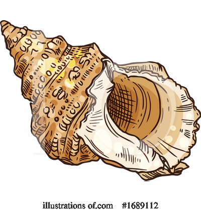 Seashell Clipart #1689112 by Vector Tradition SM