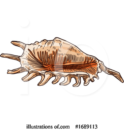 Royalty-Free (RF) Seashell Clipart Illustration by Vector Tradition SM - Stock Sample #1689113