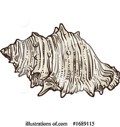 Royalty-Free (RF) Seashell Clipart Illustration by Vector Tradition SM - Stock Sample #1689115