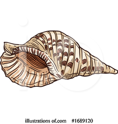 Sea Shells Clipart #1689120 by Vector Tradition SM
