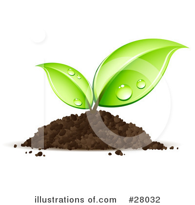 Plants Clipart #28032 by beboy