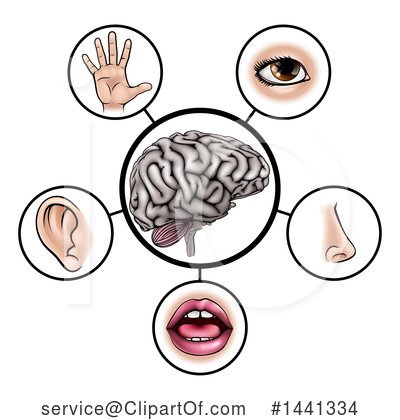 Five Senses Clipart #1441334 by AtStockIllustration