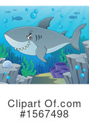 Shark Clipart #1567498 by visekart