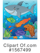 Shark Clipart #1567499 by visekart