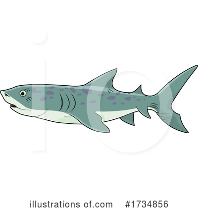 Shark Clipart #1734856 by Pushkin