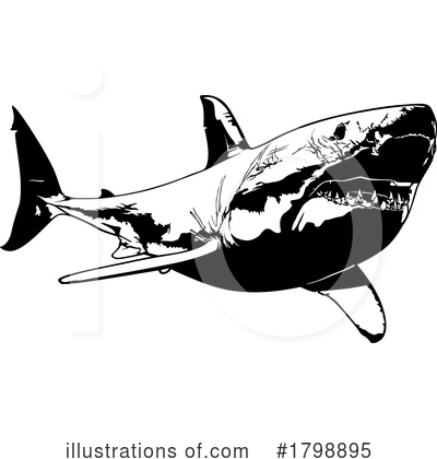 Royalty-Free (RF) Shark Clipart Illustration by dero - Stock Sample #1798895