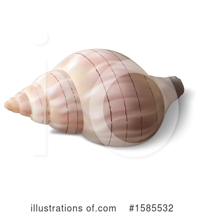 Royalty-Free (RF) Shell Clipart Illustration by dero - Stock Sample #1585532