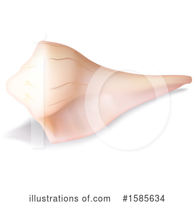 Royalty-Free (RF) Shell Clipart Illustration by dero - Stock Sample #1585634