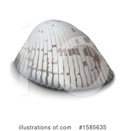 Royalty-Free (RF) Shell Clipart Illustration by dero - Stock Sample #1585635
