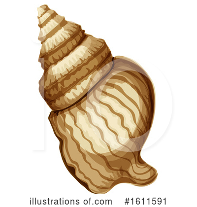 Sea Shells Clipart #1611591 by Vector Tradition SM