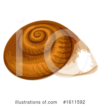 Seashell Clipart #1611592 by Vector Tradition SM
