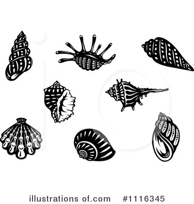 Scallops Clipart #1116345 by Vector Tradition SM