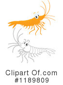 Shrimp Clipart #1189809 by Alex Bannykh