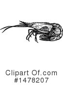 Shrimp Clipart #1478207 by Vector Tradition SM