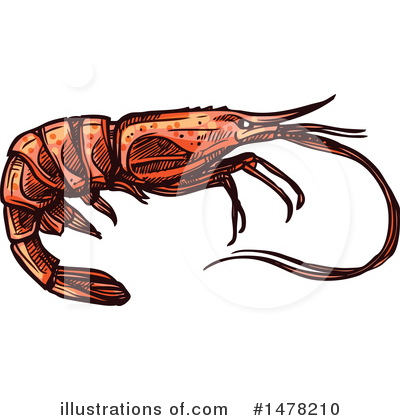 Shrimps Clipart #1478210 by Vector Tradition SM