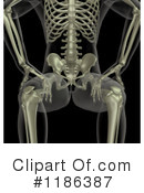 Skeleton Clipart #1186387 by KJ Pargeter